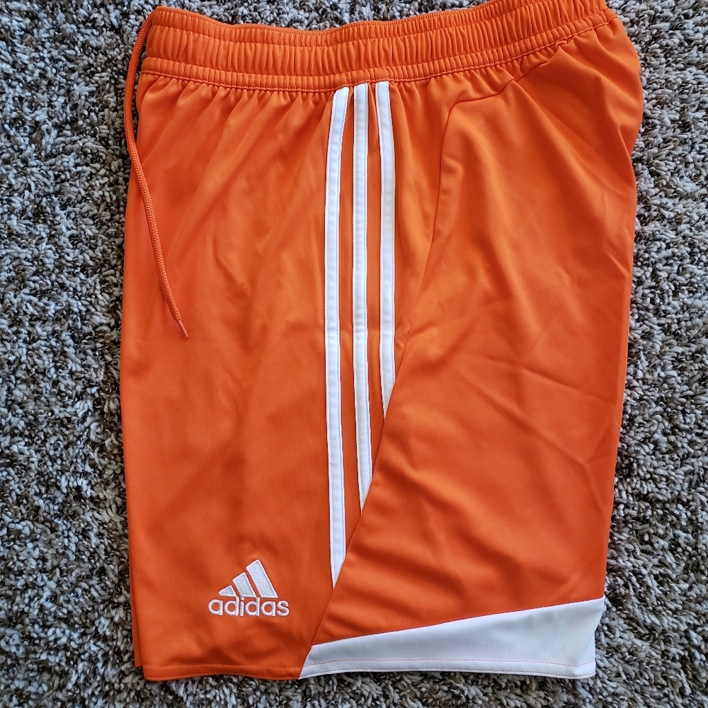 Women's Shorts